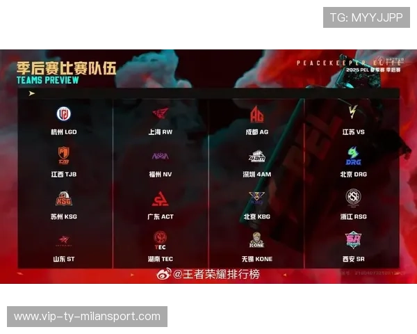 今夏引援策略全方位升级,冲击季后赛! 今夏引援策略全方位升级,冲击季后赛!