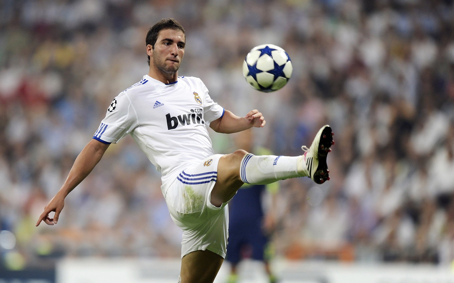 “南非羚羊队的亮眼新星：诺克·达维德·彼得森的崛起”