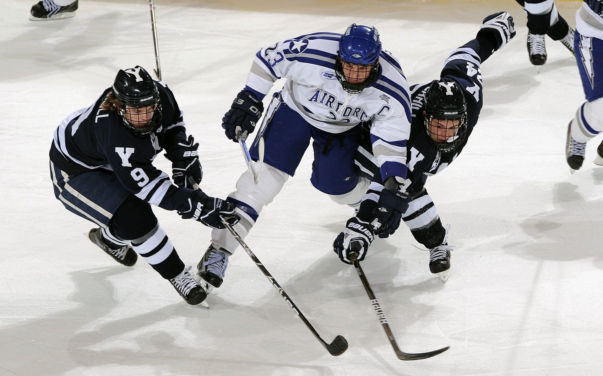 “金牛区城北体育馆：运动舞蹈带来视觉盛宴，舞者们的每一步都充满魅力”