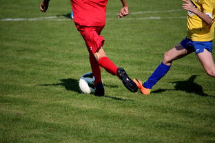 中国足球年度训练项目与技战术实战匹配，中国足球队战术